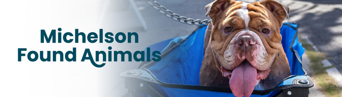 MFA November Newsletter