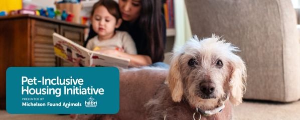 PIHI July Email Banner