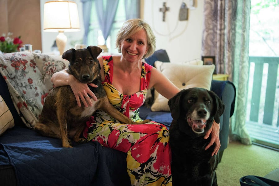 Pets story