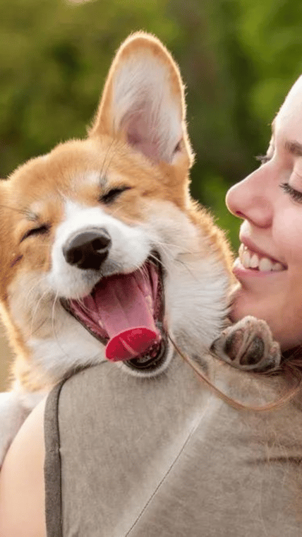 pets mental health