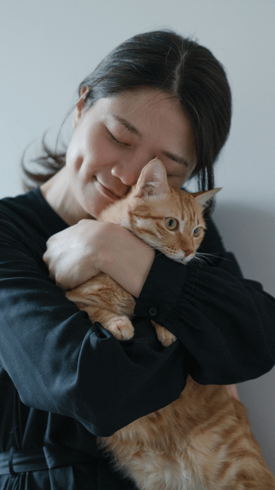 pihi cat (1)